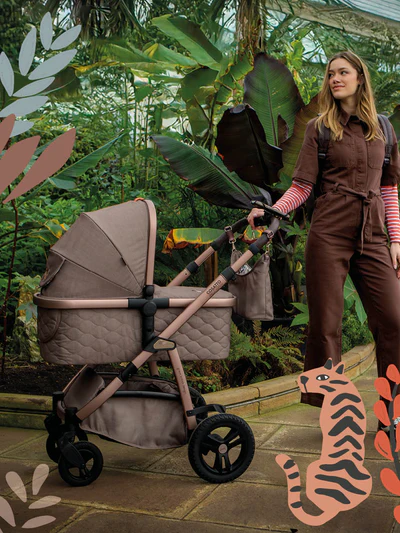 Award-Winning Style for Every Journey